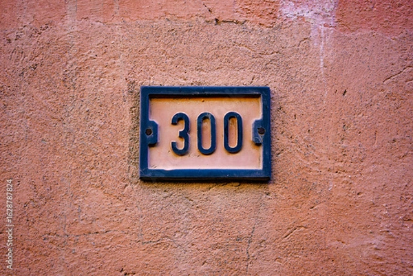 Obraz House number 300