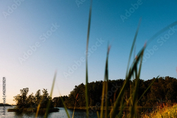 Obraz view on a lake from a swedish road, with foliage foreground