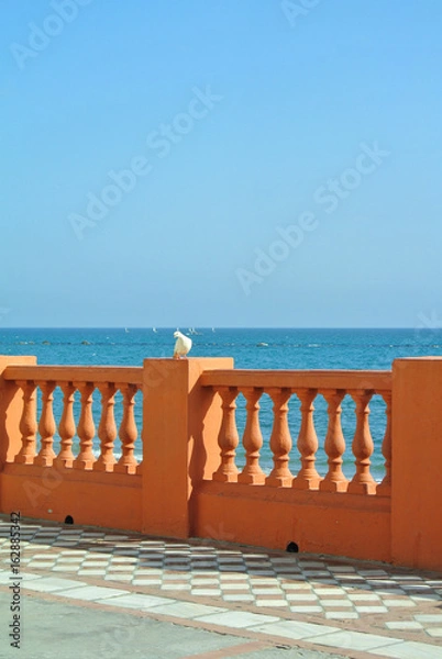 Fototapeta A view to Mediterranean sea from a waterfront promenade of Benalmadena beach and a white dove at the forefround, Malaga province, Andalusia, Spain.