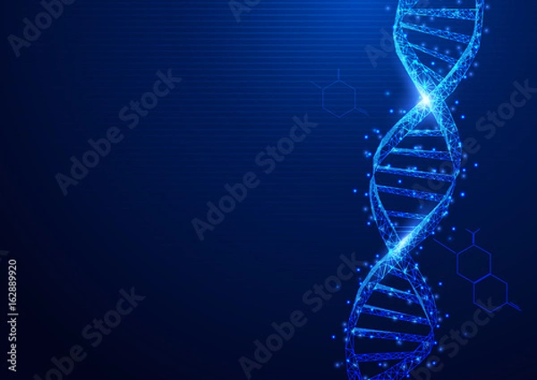 Obraz Wireframe DNA struktury cząsteczek z gwiaździstej na niebieskim tle. Koncepcja nauki i technologii