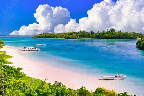 Fototapeta 石垣島・川平湾の美しいサンゴ礁の海