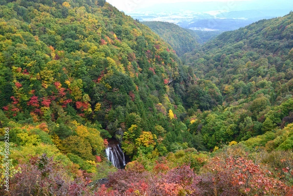 Fototapeta 錦秋の渓谷美　蓼科・横谷渓谷