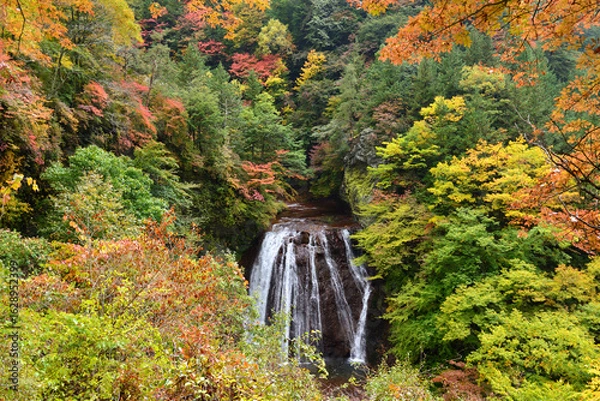 Fototapeta 錦秋の渓谷美　蓼科・横谷渓谷