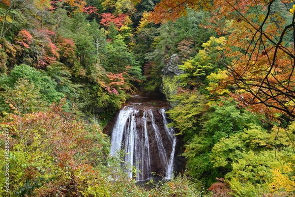Fototapeta 錦秋の渓谷美　蓼科・横谷渓谷