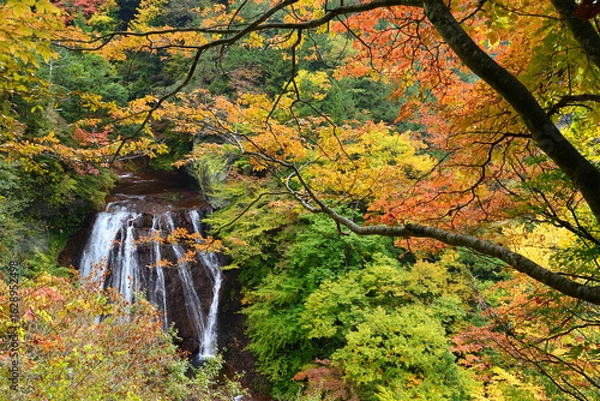Fototapeta 錦秋の渓谷美　蓼科・横谷渓谷