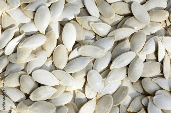 Fototapeta  pumpkin seeds