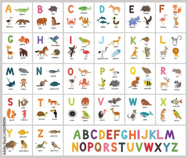Obraz Alfabet zoo wektor ładny. Zwierzęta ABC