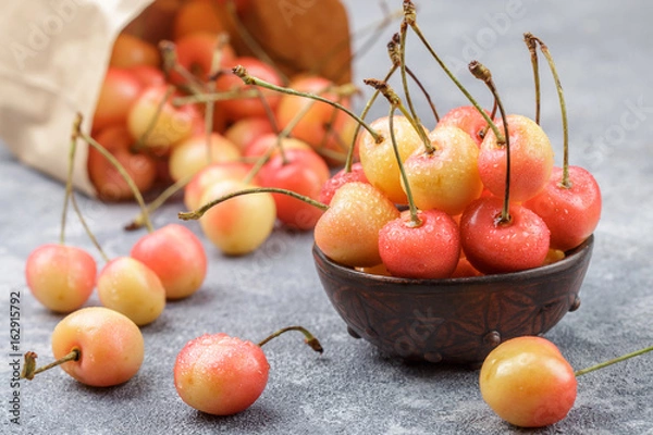 Fototapeta Red and yellow Rainier cherries with drops of water in a clay bowl on the gray concrete surface. Selective focus