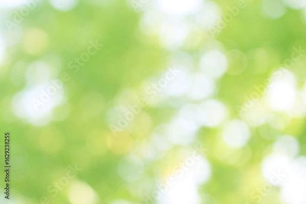 Obraz Green nature bokeh, Subtle background in abstract style for graphic design