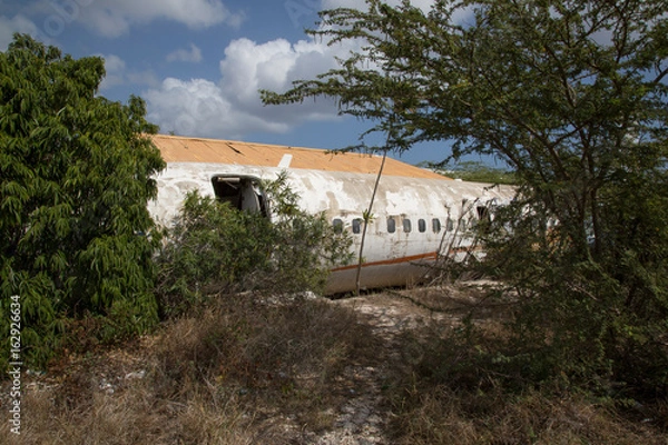 Fototapeta Flugzeugabsturz - Flugzeugkatastrophe