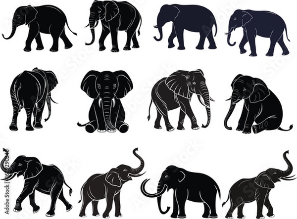 Obraz Collection of Animals Silhouettes - Elephant