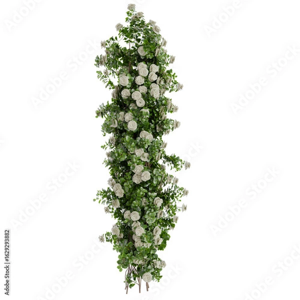 Fototapeta Climbing Roses Wall