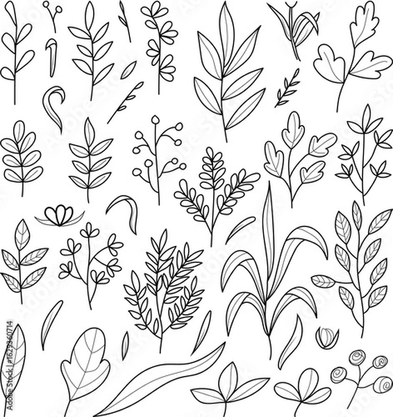 Fototapeta set of hand drawn vector illustration of an abstract leaves, line art isolated graphic elements for your design, leaves line art for classic design