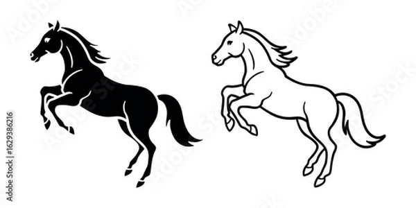 Fototapeta Horse run cycle. Walking trotting and galloping horse. Vector illustration isolated on a white background