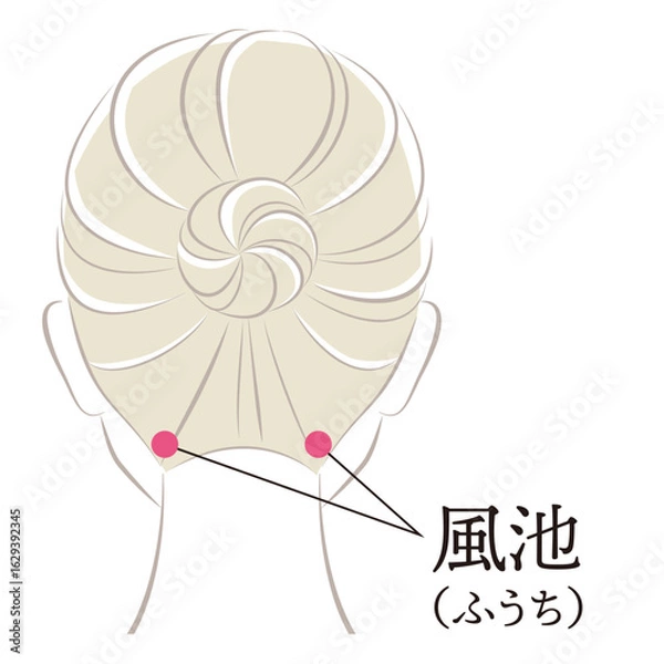 Obraz ツボ　風池