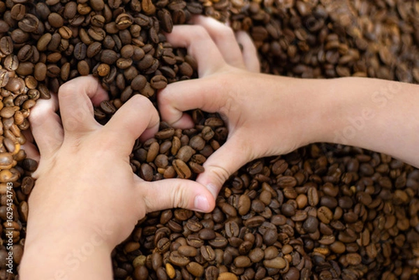 Fototapeta Child hands creating heart in coffee beans - real textured photo for design.