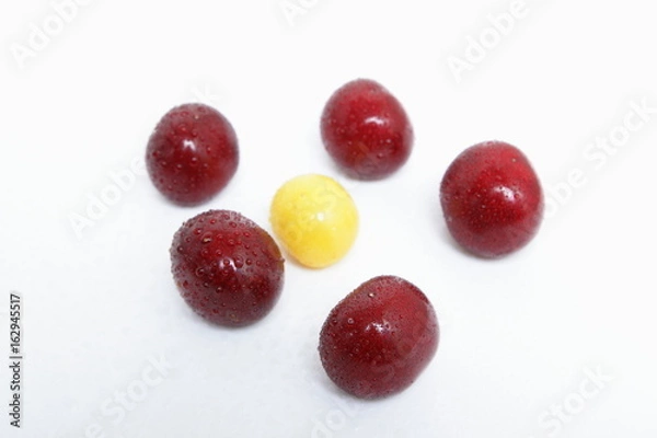 Obraz Cherry in a vacuum