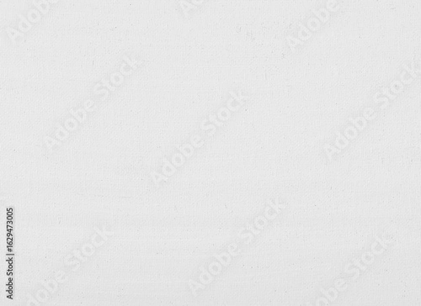 Obraz white canvas texture