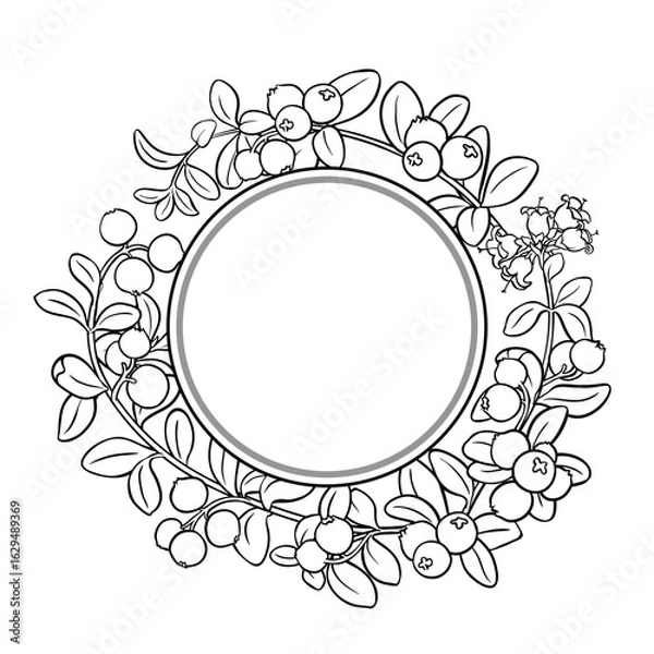 Fototapeta Cranberry Branch with Flowers, Berries and Leaves Outline Round Frame. Organic natural nutritional healthy food ingredient, vegetarian diet product. Vector isolated for design or decoration.