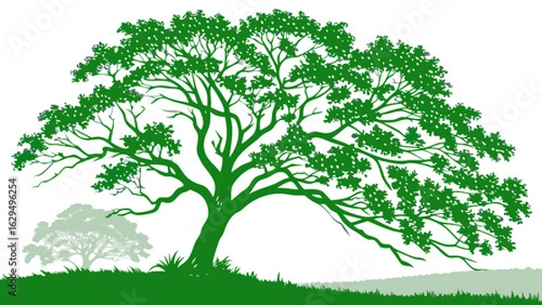 Obraz High-quality vector illustration of a lush green tree with detailed leaves and branches, perfect for nature designs, eco themes, educational materials, and environmental graphics.

