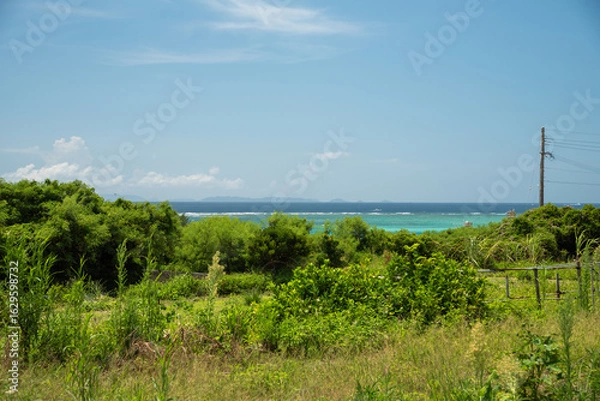 Obraz 緑の奥にエメラルドグリーンの海が見える