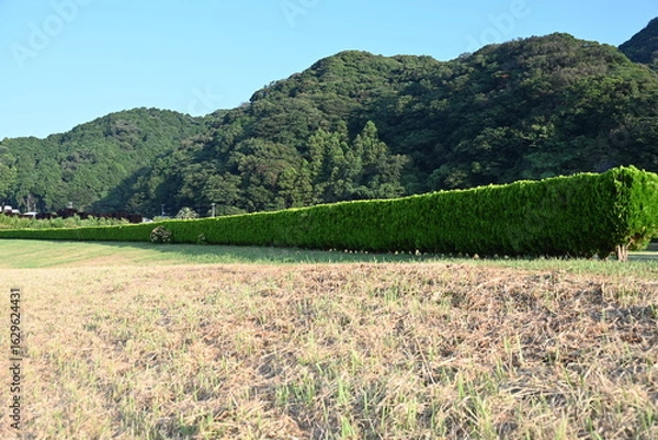 Obraz 静岡県の下賀茂にある青野川ふるさと公園にある緑の柵