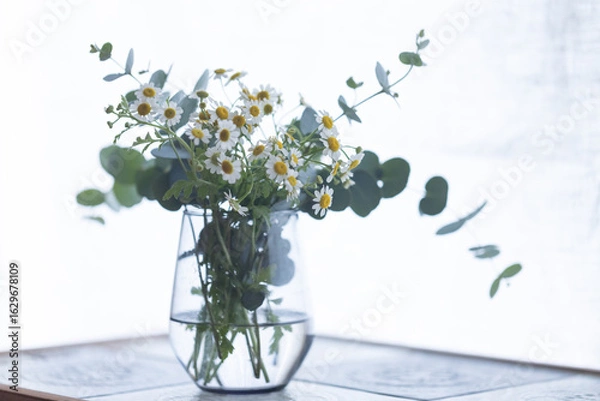 Obraz マトリカリアとユーカリ