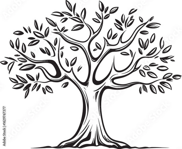 Fototapeta Olive Tree Black Vector Logo with Roots Simple Olive Tree Black Line Vector Icon