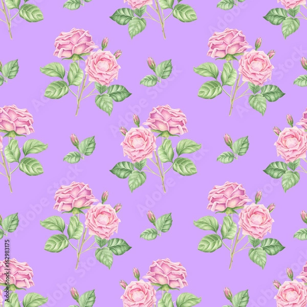 Fototapeta Hand drawn watercolor roses seamless background, floral botanical repeating pattern on colorful backdrop.