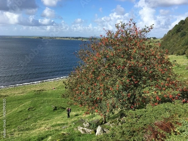 Obraz Father and child on a autumn hike in Norway