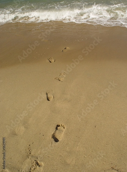 Obraz foot prints