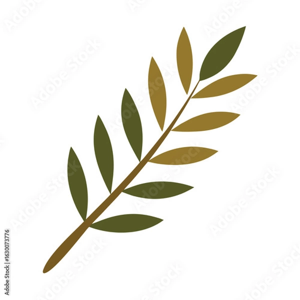 Fototapeta Vintage retro olive leaf branch botanical illustration with detailed grain texture and natural elements