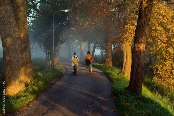 Obraz autumn n holland