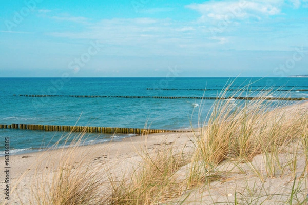 Obraz Dünenlandschaft an der Ostsee 