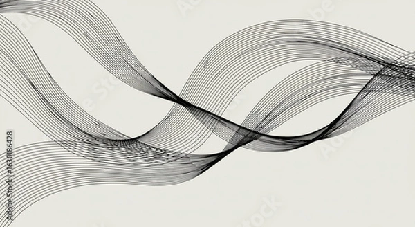Fototapeta モノクロ曲線が流れるミニマル抽象ラインアート