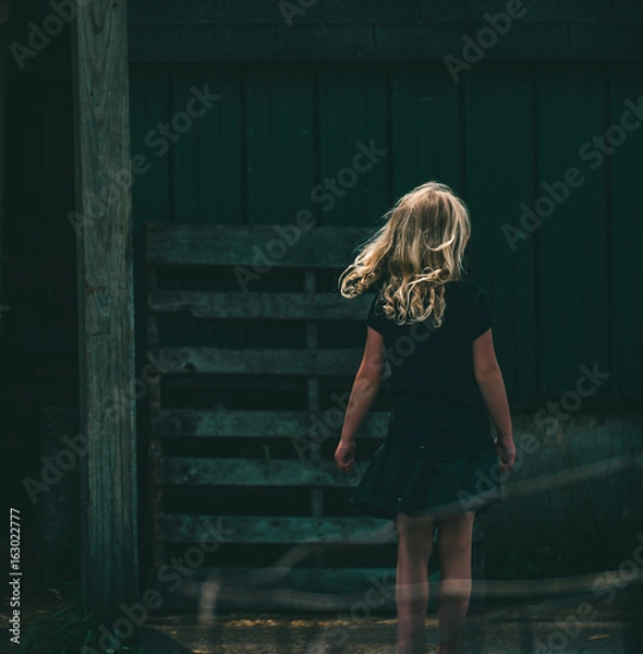 Obraz Out by The Barn