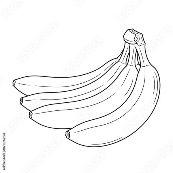 Fototapeta black and white vector images of various fruits