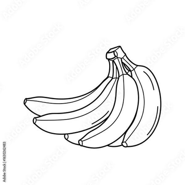 Fototapeta black and white vector images of various fruits