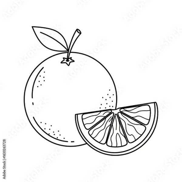 Fototapeta black and white vector images of various fruits