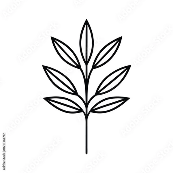 Fototapeta minimalist-botanical-line-art-on-white-background-.eps