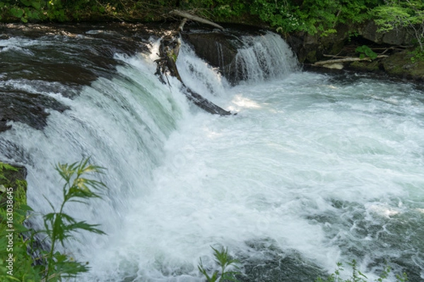 Fototapeta 北海道清里町にあるサクラマスが滝超えする季節のさくらの滝
