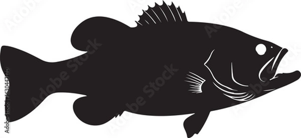 Obraz Largemouth Bass Vector Silhouette