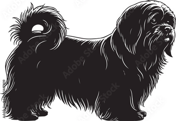 Obraz Lhasa Apso Vector Silhouette