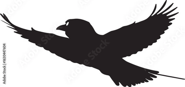 Obraz Lilac-breasted Roller Vector Silhouette