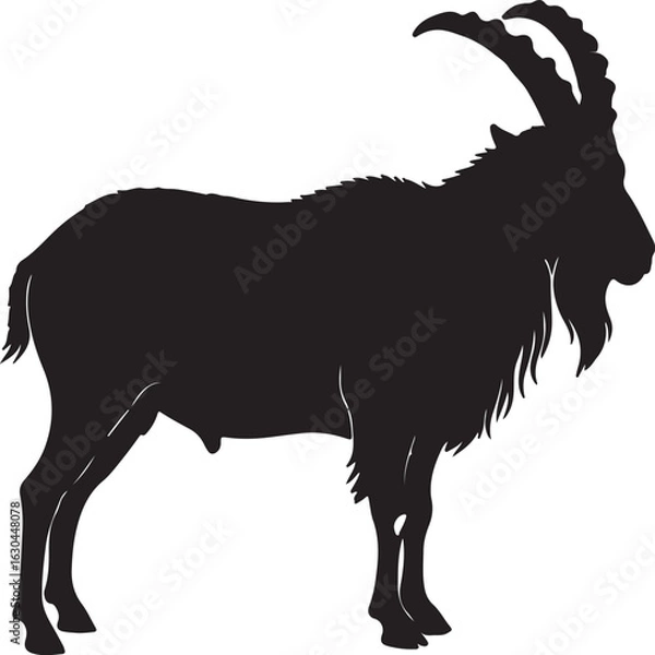 Obraz Markhor Vector Silhouette