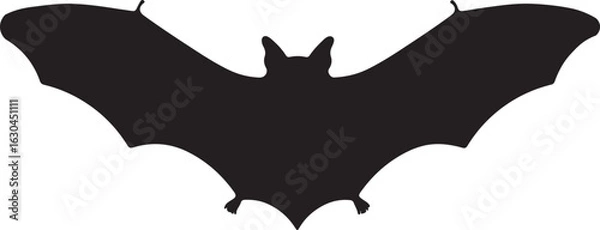 Obraz Mexican Free-tailed Bat Vector Silhouette