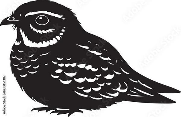 Obraz Nighthawk Vector Silhouette