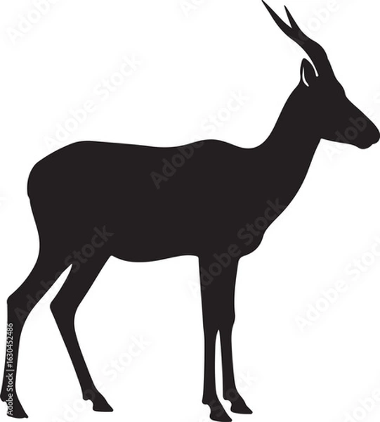 Obraz Oribi Antelope Vector Silhouette