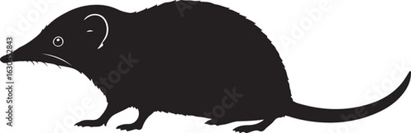 Obraz Orizaba Long-tailed Shrew Vector Silhouette