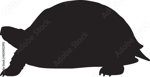 Obraz Ornate Box Turtle Vector Silhouette